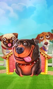 The Dog House